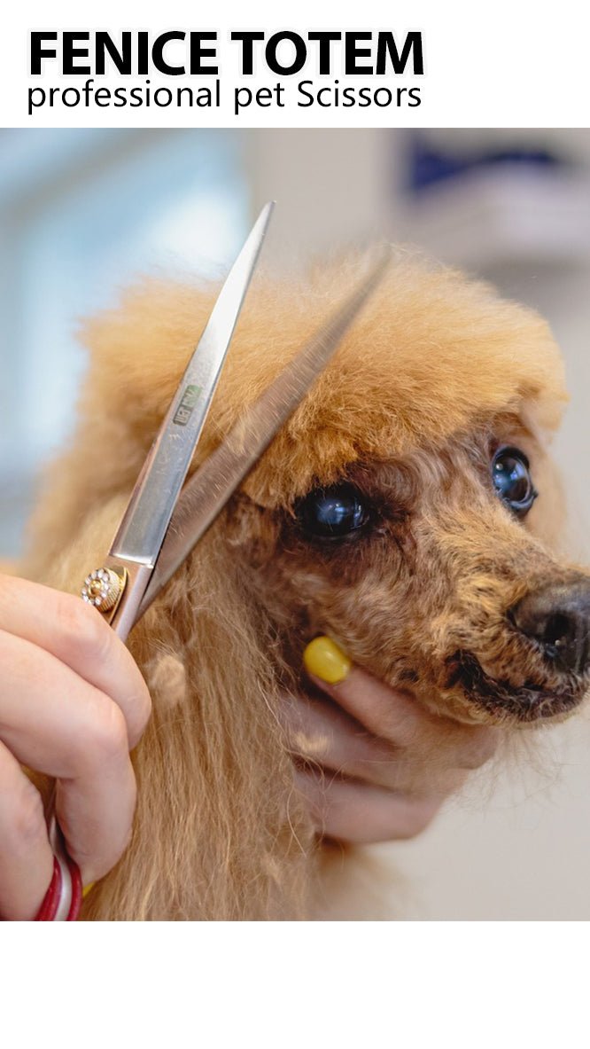How to choose professional pet grooming scissors and give pets the perfect hairstyle? FENICE TOTEM gives you the perfect answer. 🐾💖 - FENICE TOTEM