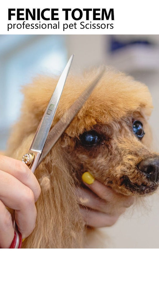 How to choose professional pet grooming scissors and give pets the perfect hairstyle? FENICE TOTEM gives you the perfect answer. 🐾💖 - FENICE TOTEM