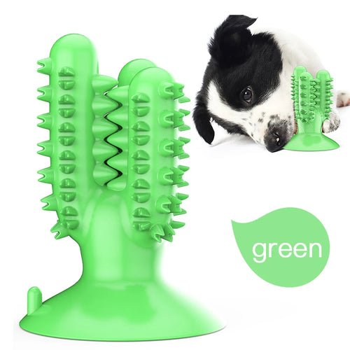 Fenice Pet Dog Toys Cactus Molar Stick Resistant Bite Pet Tooth Cleaning Dog Toothbrush Chew Toy Ball Dog Interactive Training - FENICE TOTEM