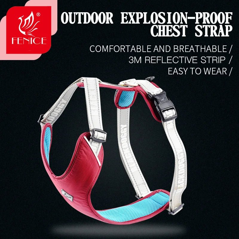 Fenice Outdoor Professional Fashionable Medium Small Dog Explosion - proof Reflective Chest Strap - FENICE TOTEM