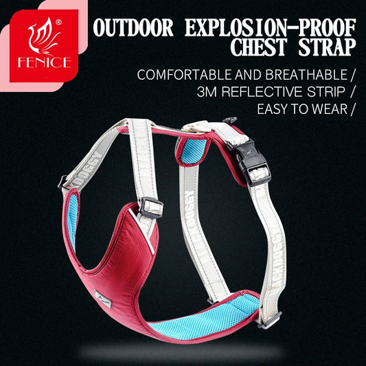 Fenice Outdoor Professional Fashionable Medium Small Dog Explosion-proof Reflective Chest Strap