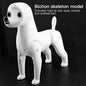 Fenice Pet Simulation Hair Grooming Fake Dog Model Practice Dog Standard Skeleton Model Dog Full Body Fake Hair - FENICE TOTEM