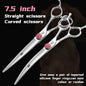 Fenice Professional 6/6.75/7/7.5 Inch Pet Scissors For Dog Grooming Straight&Thinner&Curved&Chunker Grooming Shears Tool Set - FENICE TOTEM